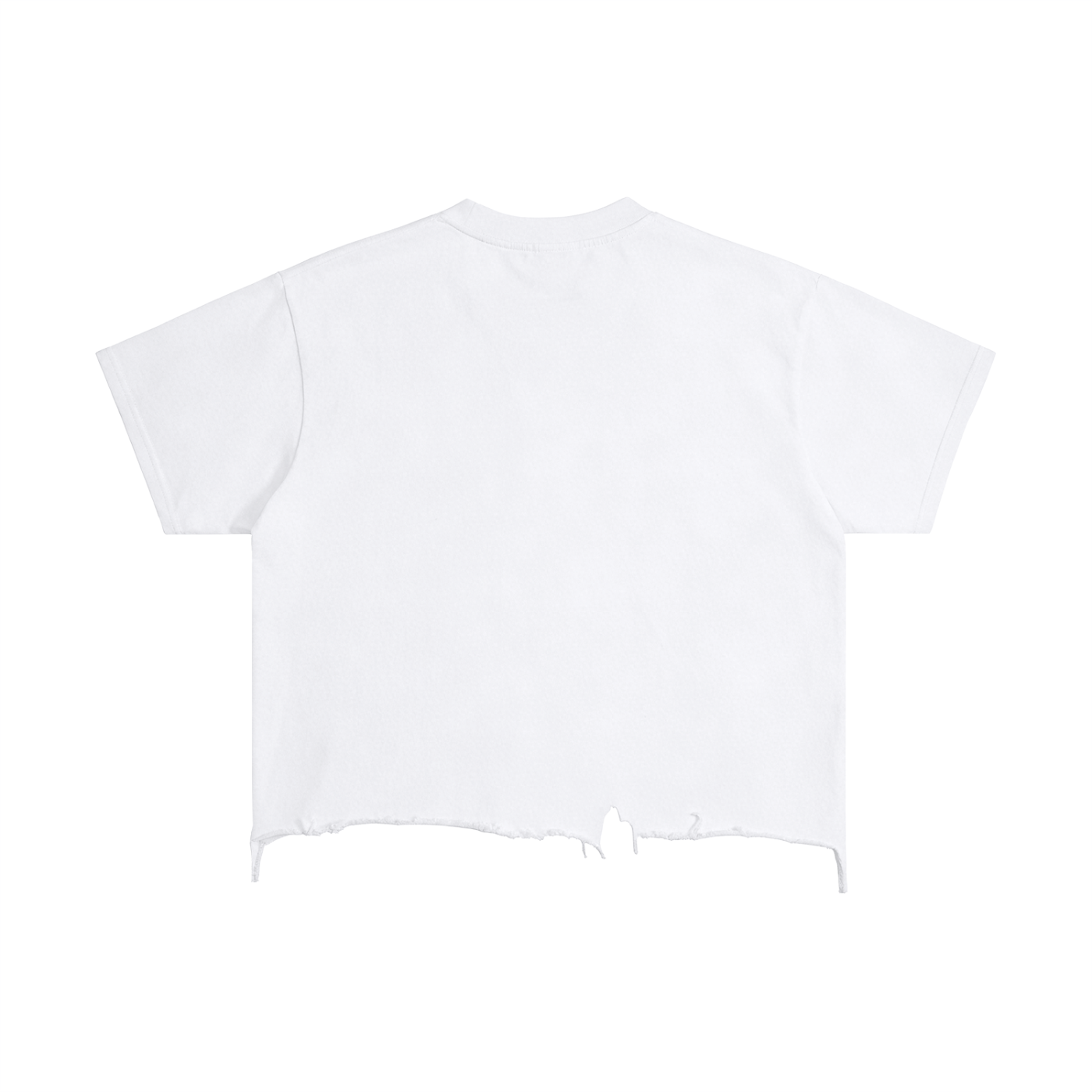Vintage Wash Boxy Distressed " HIM " T-Shirt